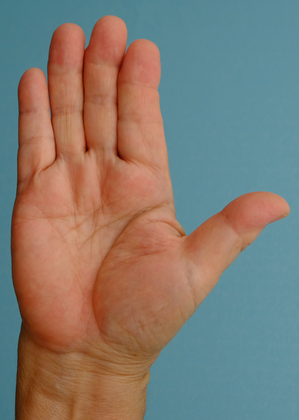 右手 — カードを展開する手